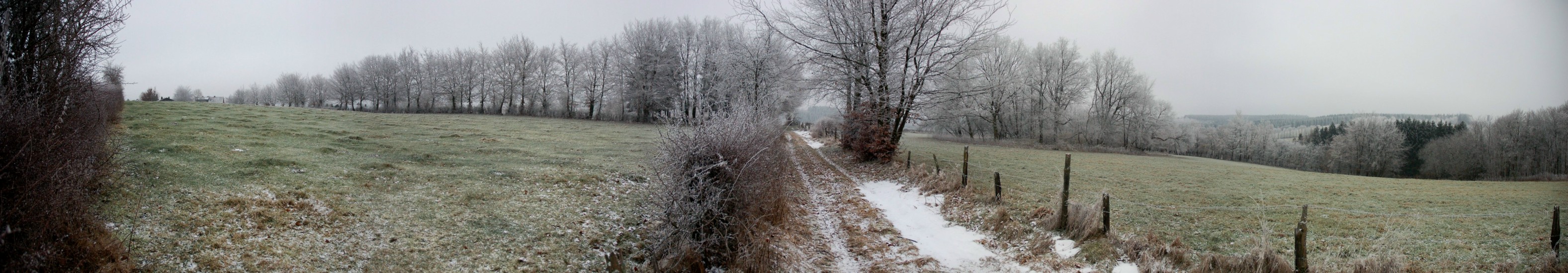 landschaft neujahr 2010